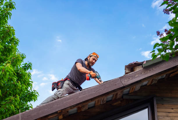 Fast & Reliable Emergency Roof Repairs in Placeholder8